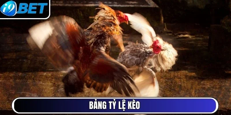 Bảng tỷ lệ kèo