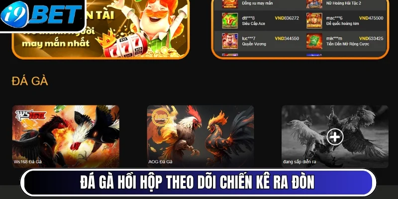 Đá gà hồi hộp theo dõi chiến kê ra đòn