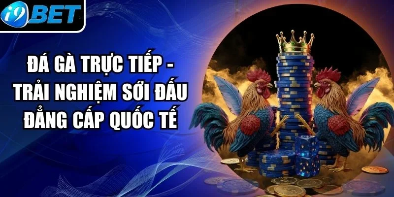 Đá Gà Trực Tiếp