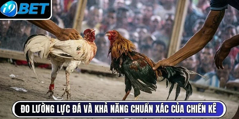 Đo lường lực đá và khả năng chuẩn xác của chiến kê