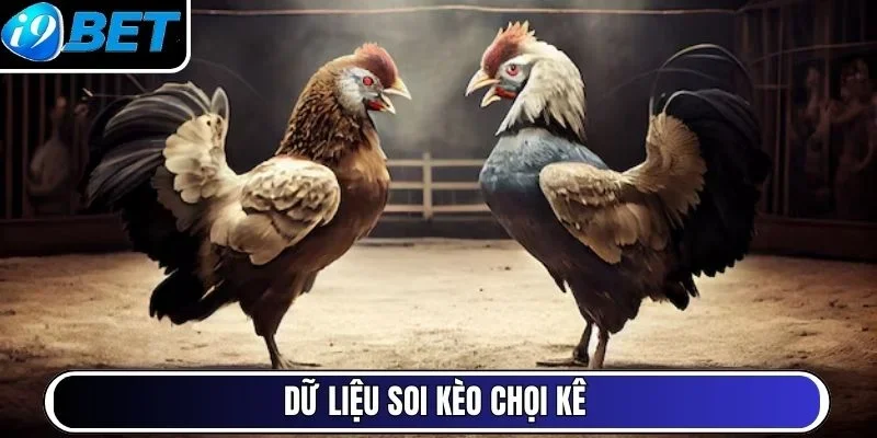 Dữ liệu soi kèo chọi kê