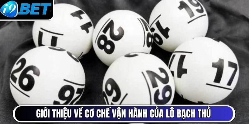 Giới thiệu về cơ chế vận hành của lô bạch thủ