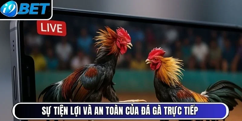 Sự tiện lợi và an toàn của đá gà trực tiếp